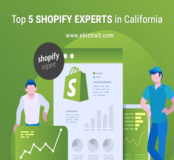 Top 5 Shopify Experts in California